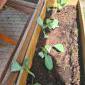 IMG-20250522-WA0000.jpg - náhled